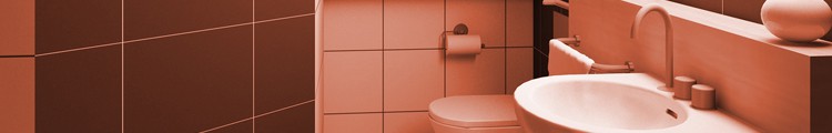 Sanitär- und WC-Reiniger